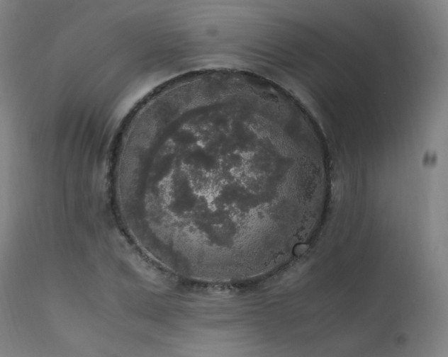 X0000111650975200907171541