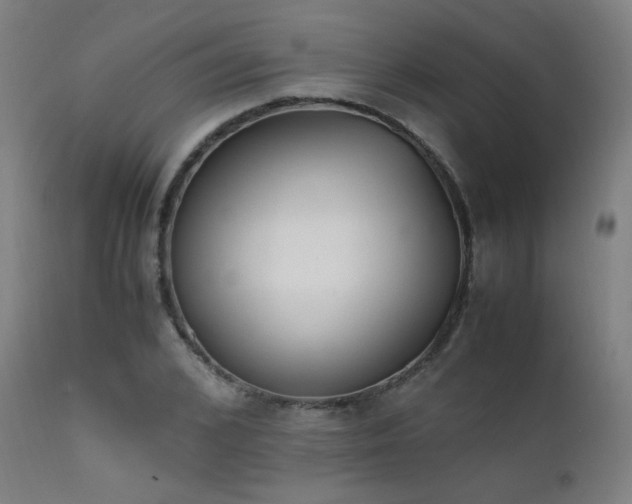 X0000111650976200907171541