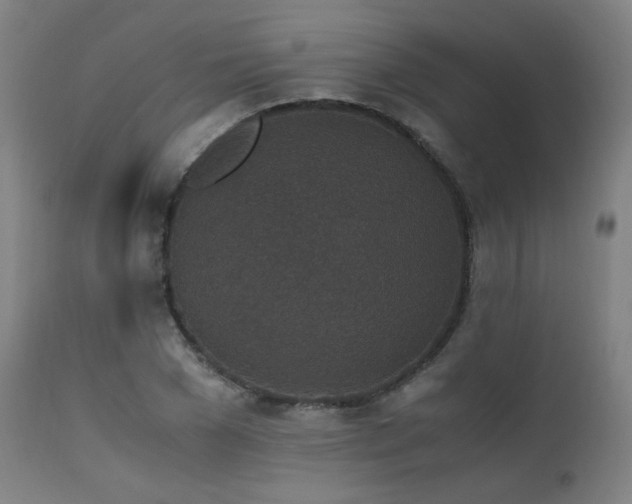 X0000111650977200907171541