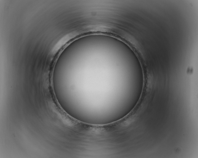 X0000111650978200907171541