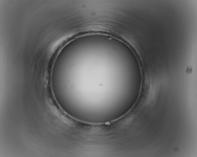 X0000111650979200907171541