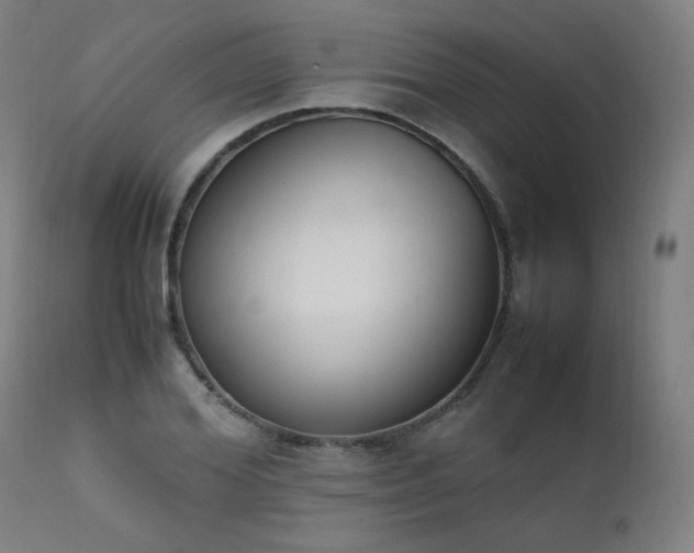 X0000111650980200907171540