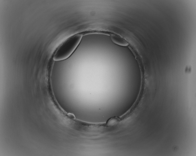 X0000111650981200907171540