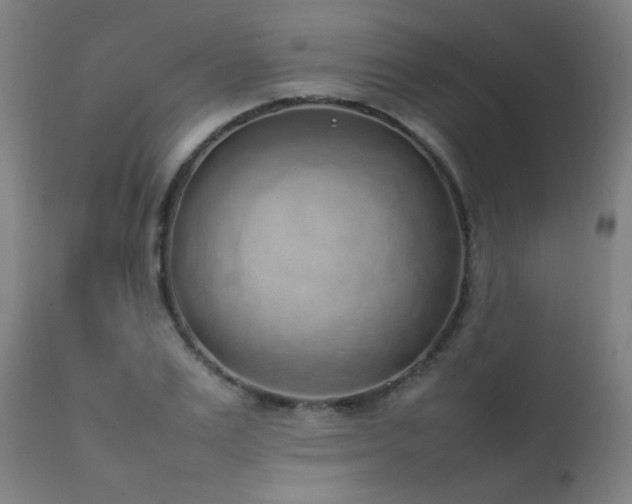 X0000111650983200907171540