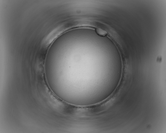 X0000111650985200907171540
