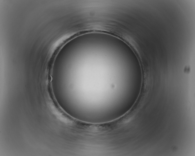 X0000111650987200907171540