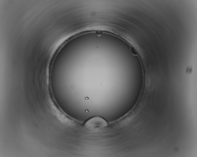 X0000111650988200907171540