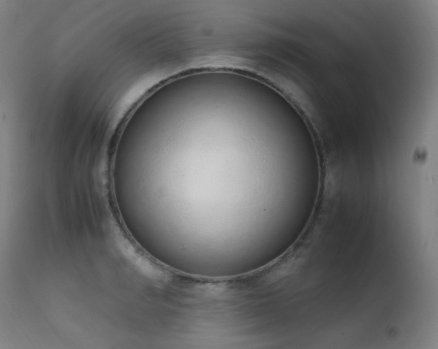 X0000111650990200907171540