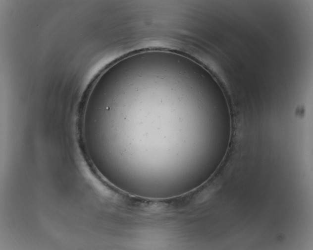 X0000111650991200907171540