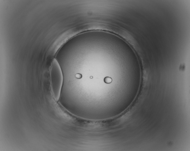 X0000111650993200907171540