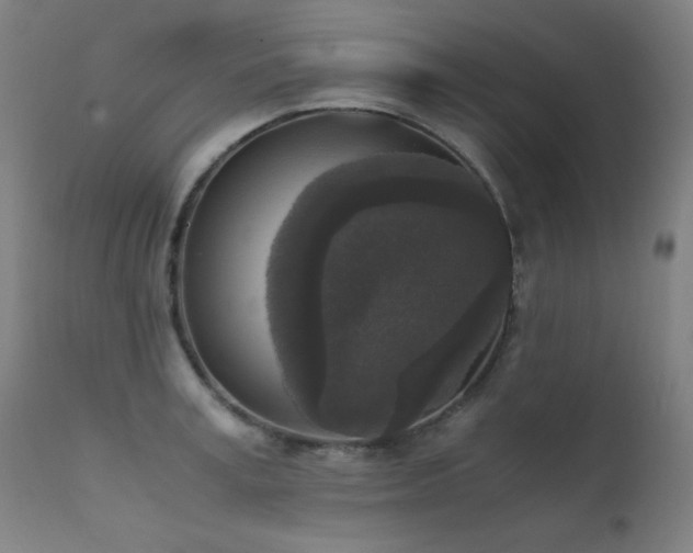 X0000111650995200907171540
