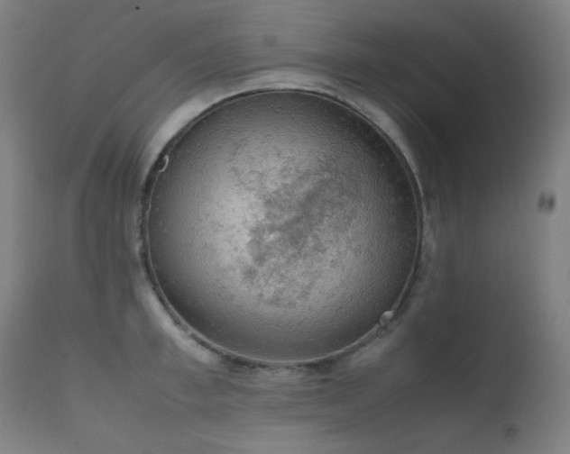 X0000111650997200907171540