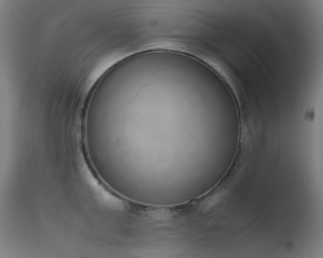 X0000111650999200907171540