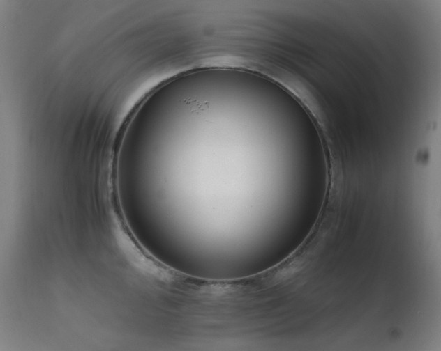 X0000111651000200907171540