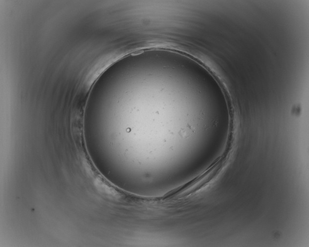 X0000111651001200907171540