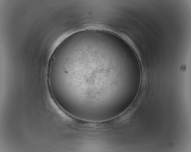 X0000111651005200907171540