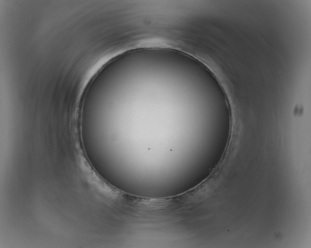 X0000111651008200907171540