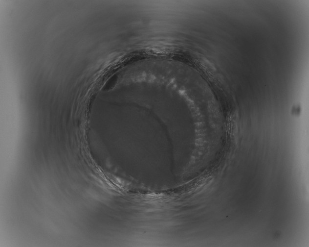 X0000111651009200907171539