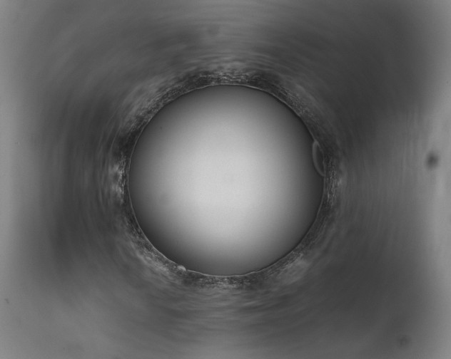 X0000111651010200907171539
