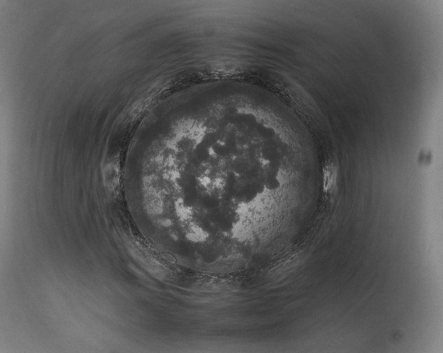 X0000111651011200907171539