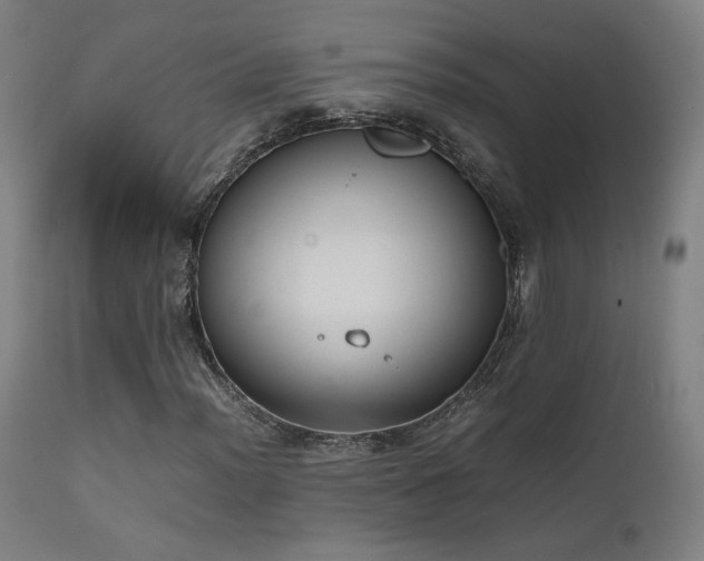 X0000111651012200907171539