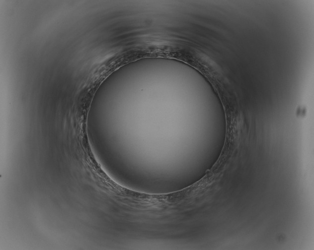X0000111651013200907171539
