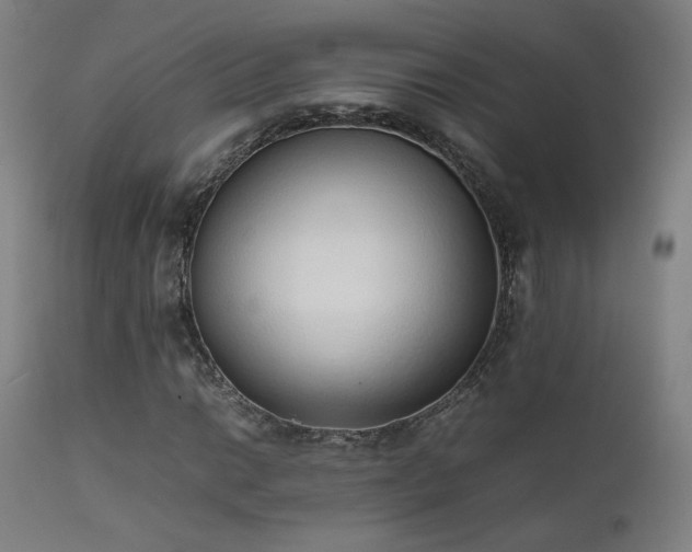 X0000111651014200907171539