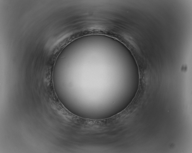 X0000111651015200907171539