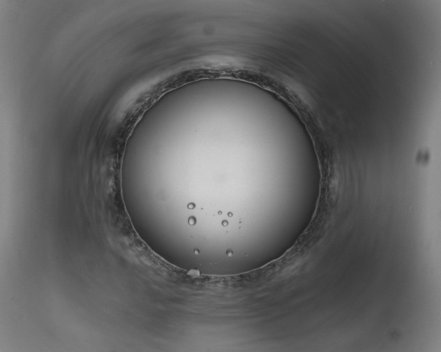 X0000111651016200907171539