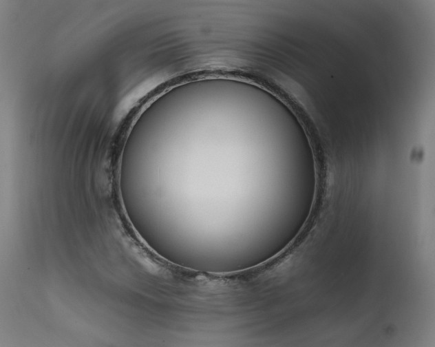 X0000111651018200907171539