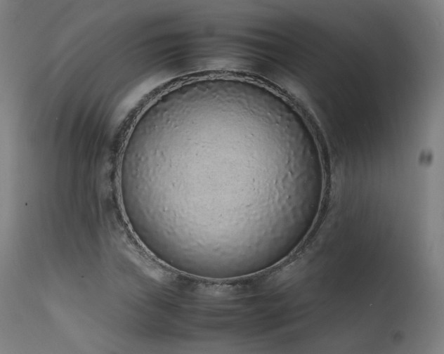 X0000111651019200907171539