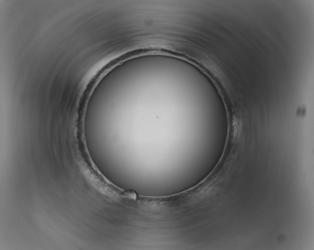 X0000111651020200907171539