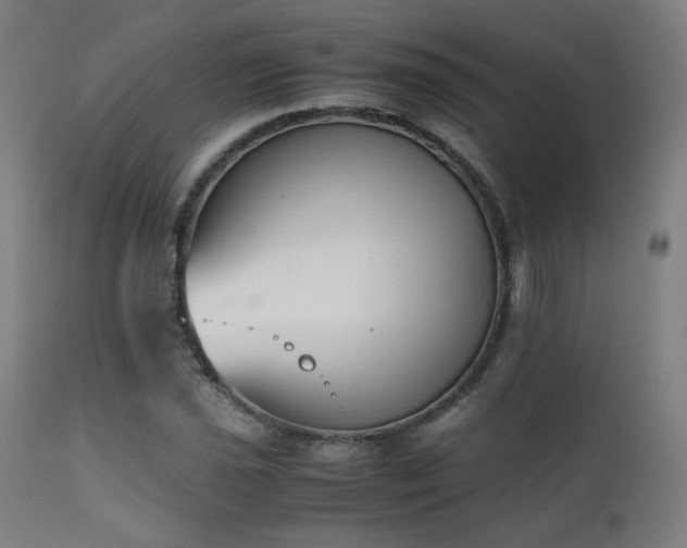X0000111651021200907171539