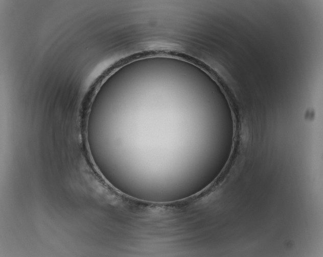 X0000111651022200907171539