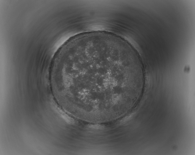 X0000111651023200907171539