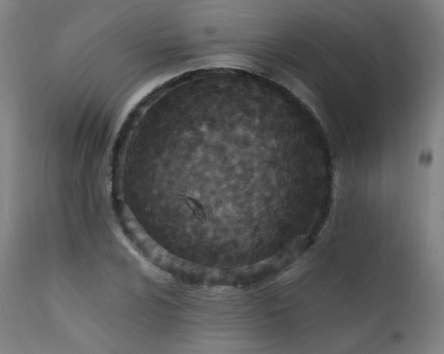 X0000111651024200907171539
