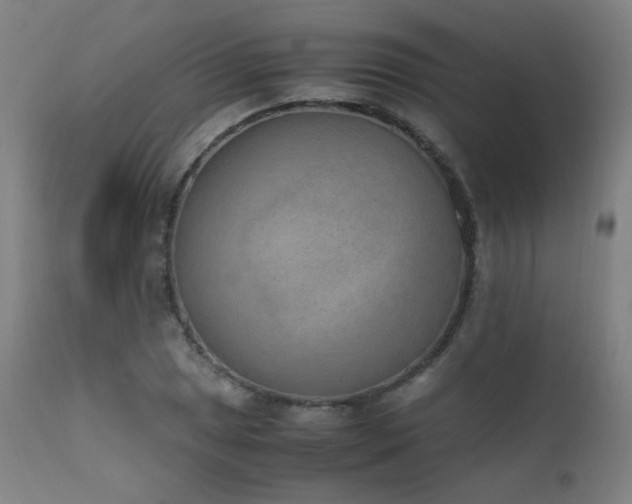 X0000111651025200907171539