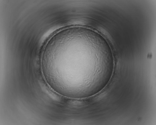 X0000111651027200907171540