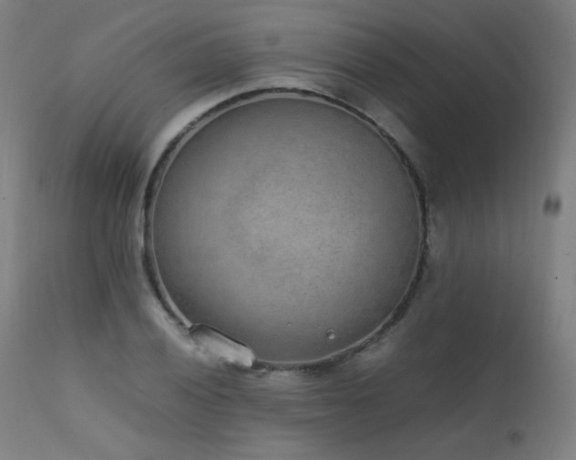 X0000111651028200907171540