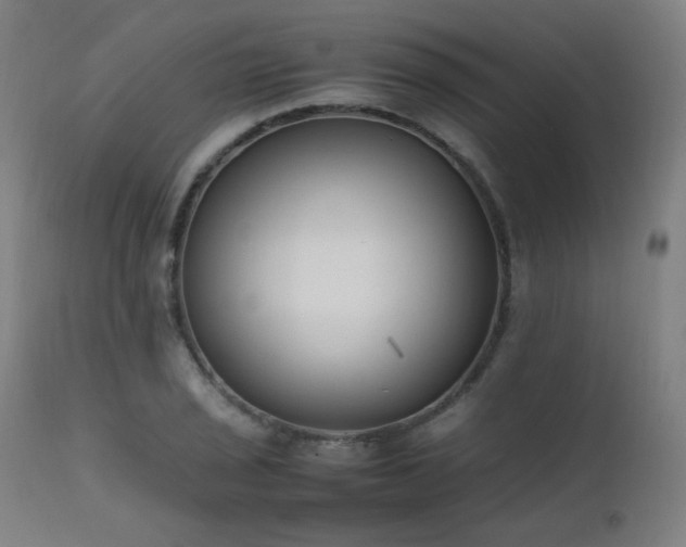 X0000111651029200907171540
