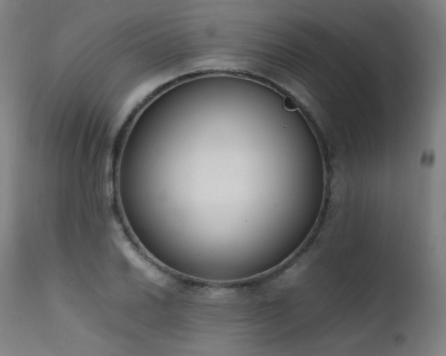 X0000111651030200907171540