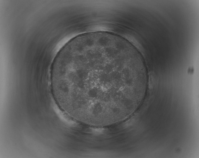 X0000111651031200907171540