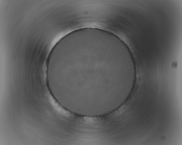 X0000111651032200907171540