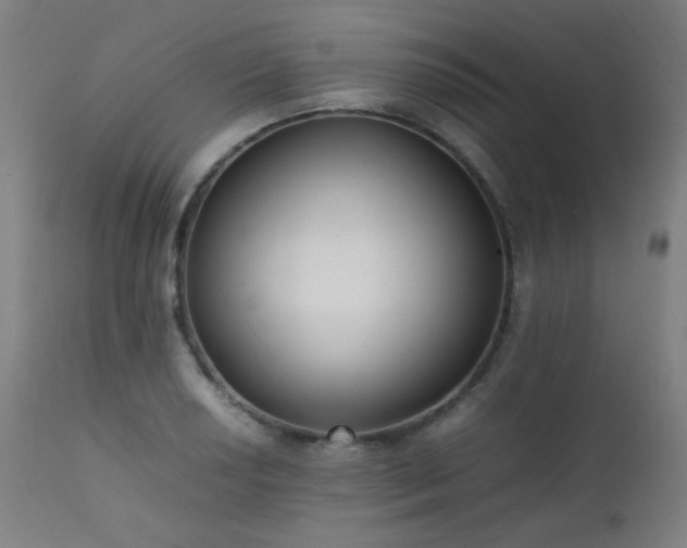 X0000111651034200907171540
