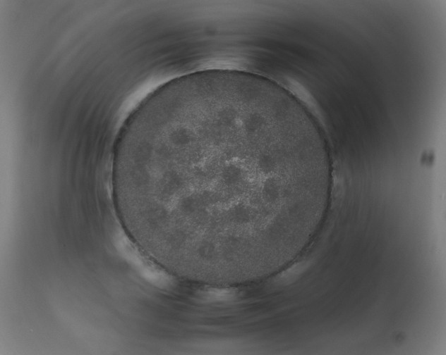 X0000111651035200907171540