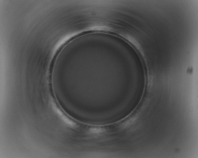 X0000111651037200907171540