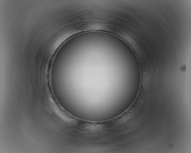 X0000111651039200907171540