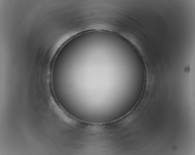 X0000111651040200907171540