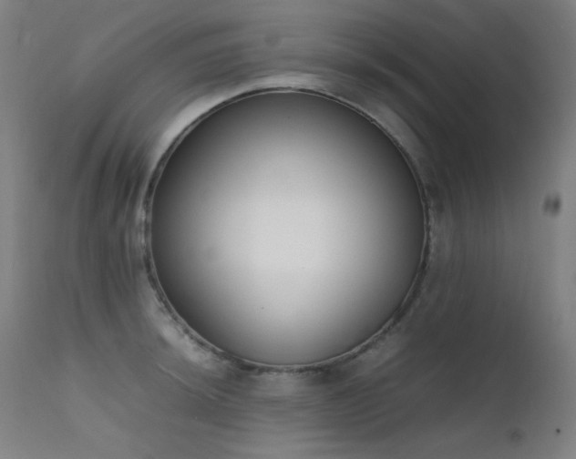 X0000111651044200907171540