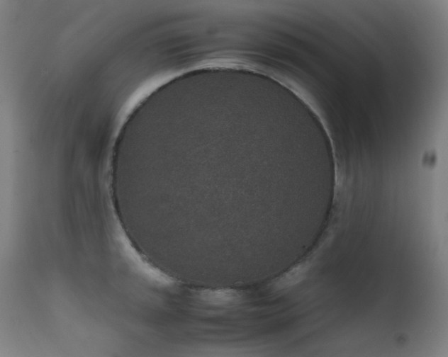 X0000111651045200907171540